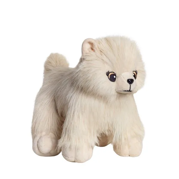 cachorro-lulu-da-pomerania-cor-unica-uni